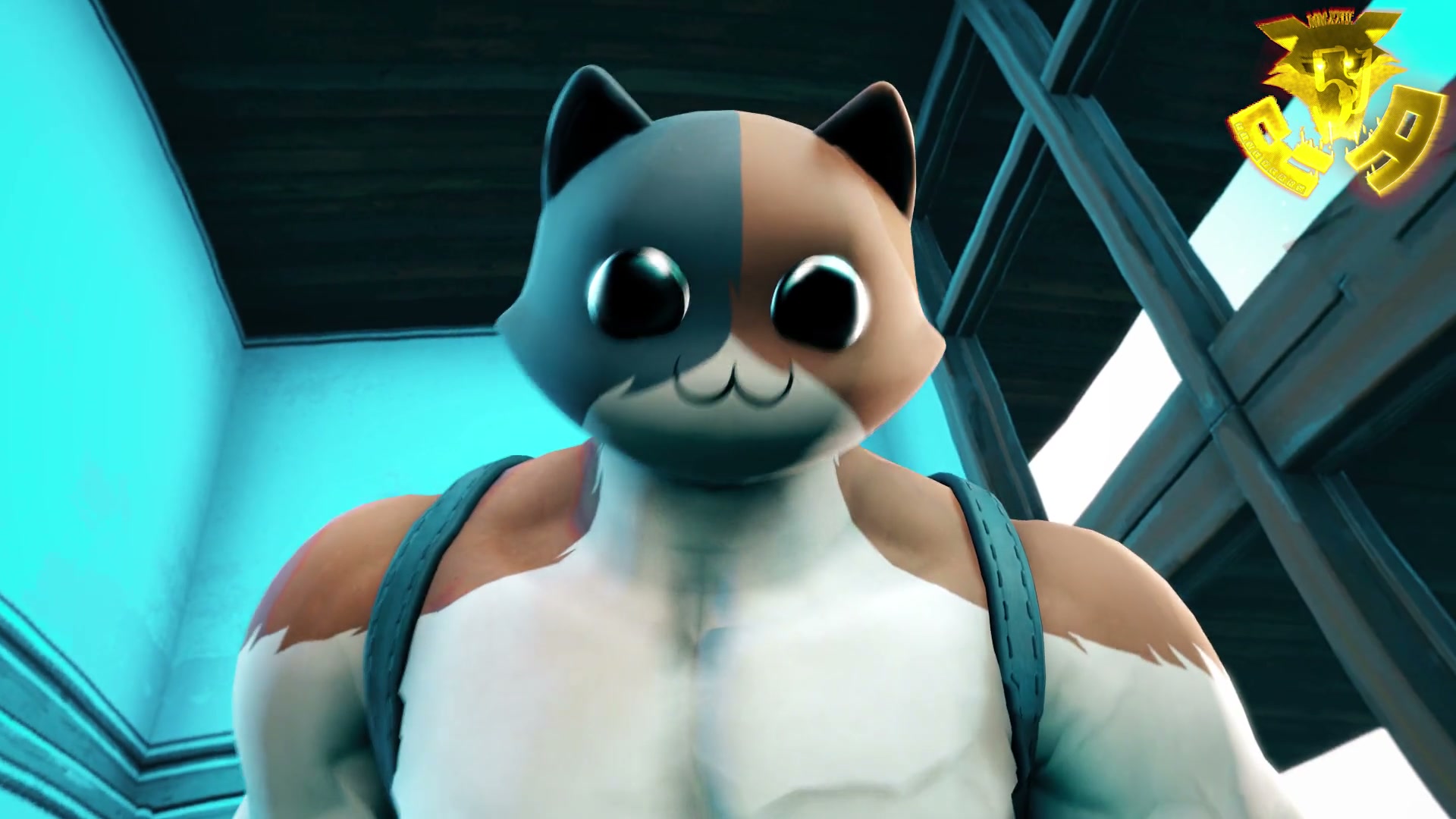 Meowscles Pov