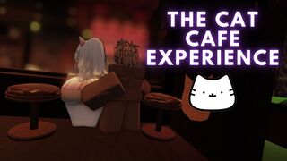 The cat cafe experience