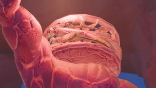 [LOM][4K] Varesa x Hilichurl