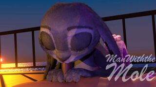 Judy Hopps blowjob Pov