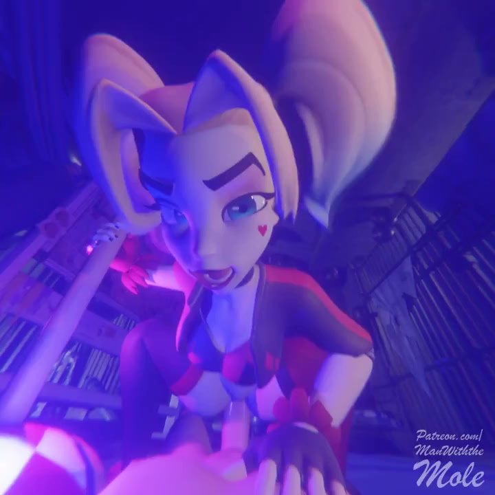 Harley Quinn Riding Pov