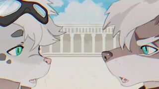 Competition | zinsockhyr