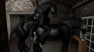 Percheron stallion mating with a Percheron mare, 1 in hand.