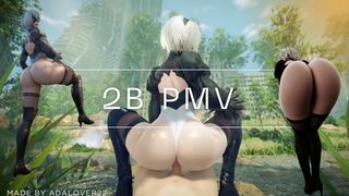 2B Nier PMV