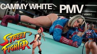 Street Fighter Cammy White PMV