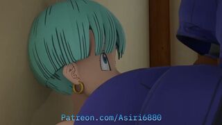 18 farts on Bulma