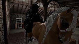 Percheron stallion mating with Breton mare in hand.