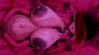 Seedbed Queen Anne's Revenge