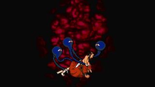 Mugen hibiki vs kuromaru porn