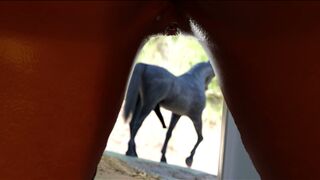 Ciri's Diary - Velens Horses