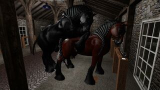 Percheron stallion covered with Shire mare in hand.