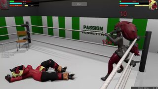 HR2 Furry: Zoroark vs Blaziken 2