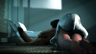 Wonderwoman & Doggos (Rear)