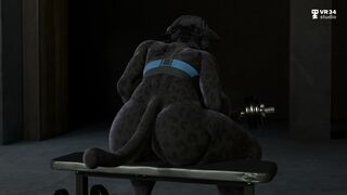 Furry Panther Lifts Weights Naked - VR34 Studio