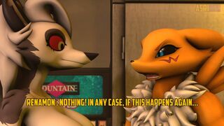 Asriren renamon vs Loona