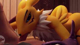 Renamon Blowjob Pov