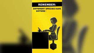 [Zoquete] I found this instructional tape in a parallel universe. (Fallout)