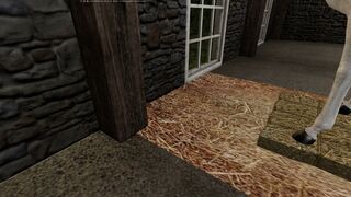 A Percheron draft stallion mated with an Arabian stallion