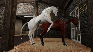 An Arabian stallion mating with an Arabian mare