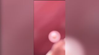 One portion of the animal [inukon geek]