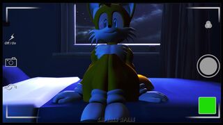Sonic and Tails Tape