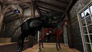 A Percheron draft stallion covers an Arabian mare