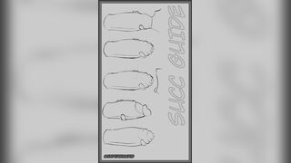 Succ Guide