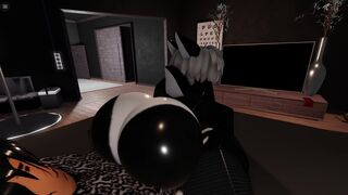 Orca Bait.