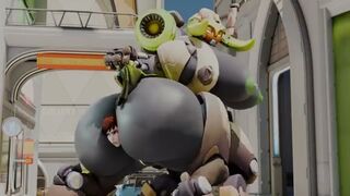 Dva's stinky prision