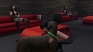 Canine Desires : Nami and Jenny