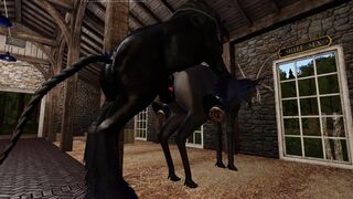 Shire stallion covered a reindeer.