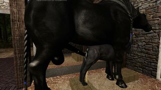 Percheron stallion mated with a female dog