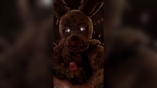Bunny troubles