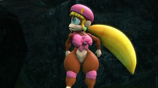 Dixie Kong's Jungle Jamboree