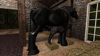 Shire stallion mated with a female dog