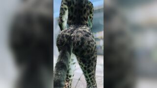 This Khajiit Wants Something...
