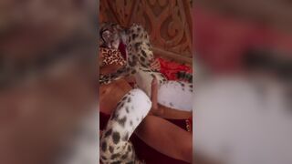 Khajiit Teases Your Cock With Her Pussy