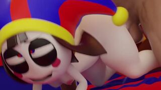 POMNI PMV/HMV FUNK