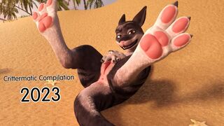 Crittermatic 2023 Compilation
