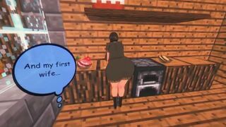 NTR Wifecraft 6