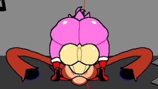 Amy Rose Misadventures 3