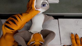 Judy cheating with Tiger