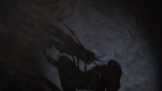 Mutant Fly encounter [Insect]