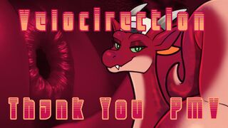 THANK YOU - VELOCIRECTION | PMV