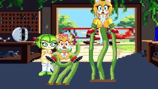 Tails Workshop