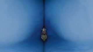 Anal vore by kitokami