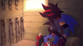Sonic and Shadow [Steamy Buns]