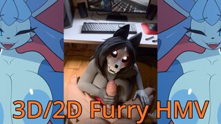 2D-3D Furry HMV