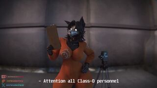 Malo Experiment - Class D