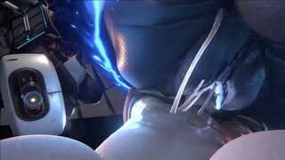 ZELENUYU PMV